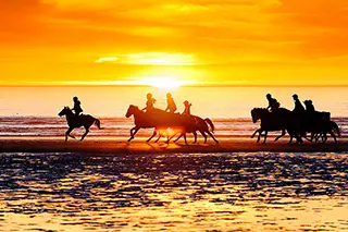 Groupe de cavaliers au galop sur la plage au coucher du soleil