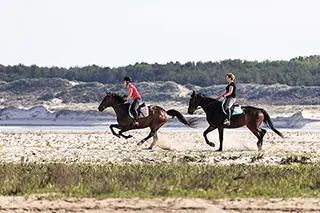 Deux cavalières à cheval au galop en Baie d'Authie