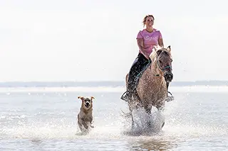 Cavalière à cheval en bord de mer dans l'eau avec son chien qui suit en courant