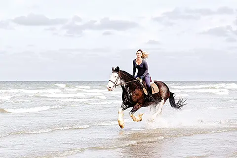 Cavalière au galop sur la plage sur un cheval Irish Cob