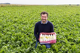 Agriculteur souriant tenant une caisse d'endives fraîches dans un champ