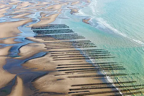 Alignements Sur La Plage