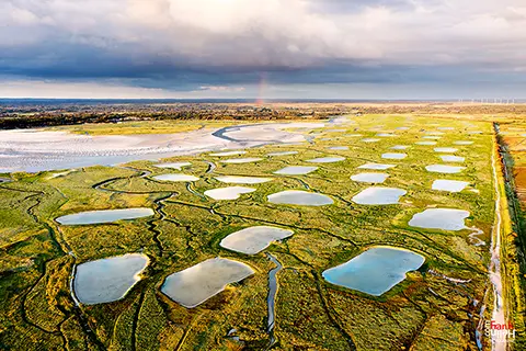 Arc En Ciel Sur Les Marais