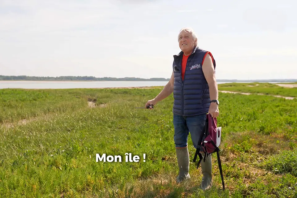 À la découverte de plantes comestibles en baie d'Authie