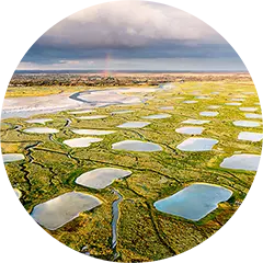 Une vue aérienne des mares à huttes de la Baie d'Authie